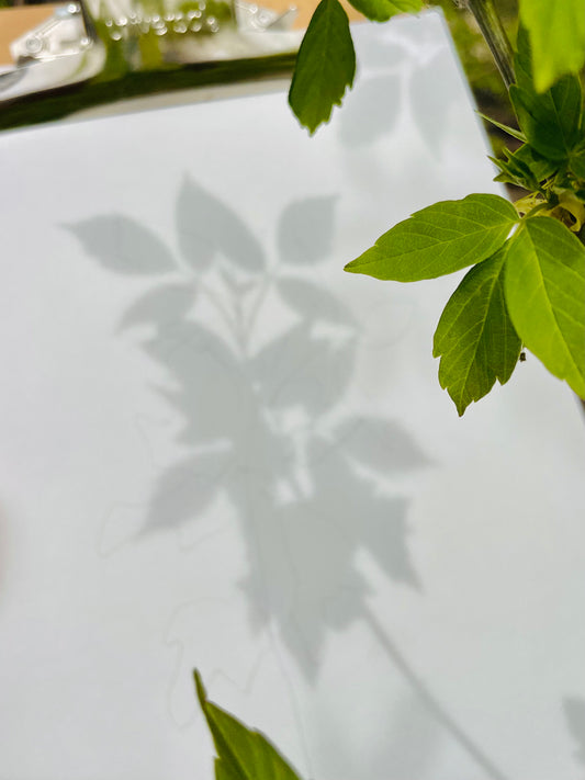 Art Camp June 26- Painting with Nature Ages 6-10